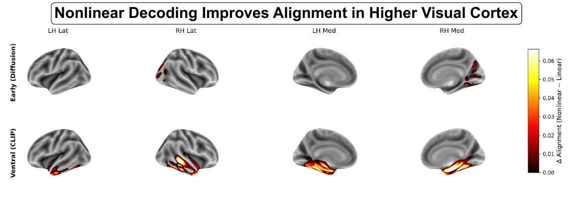 Cortical surface maps of the alignment gain from nonlinear decoding