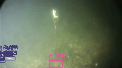 Brackish test frame with EfficientDet-Lite0 detections