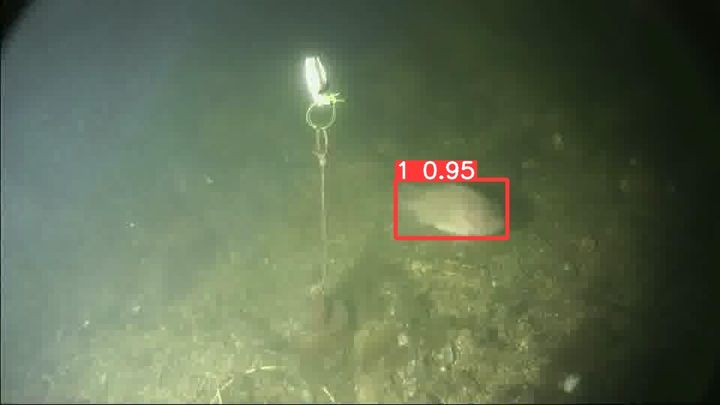 The same frame with YOLOv8s detections
