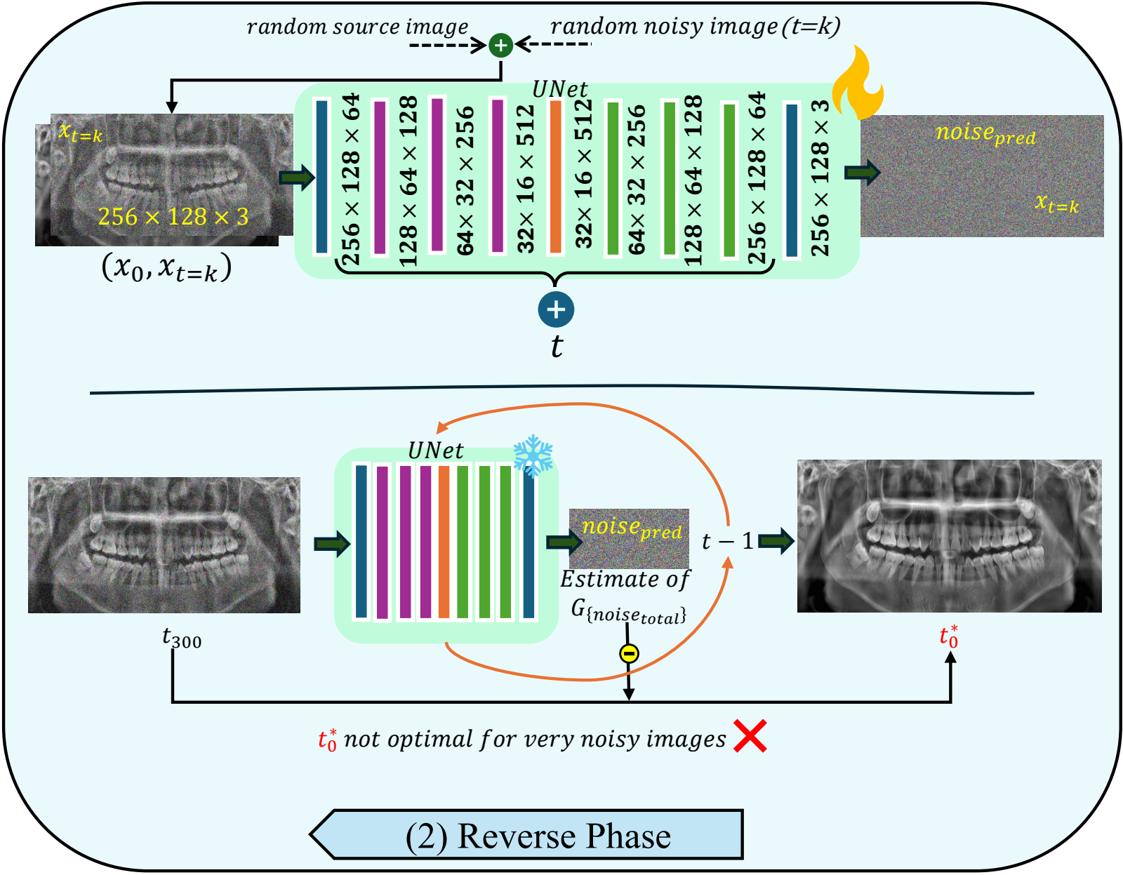 Diagram of the reverse phase: a trainable U-Net predicting noise, contrasted with step-by-step DDPM denoising