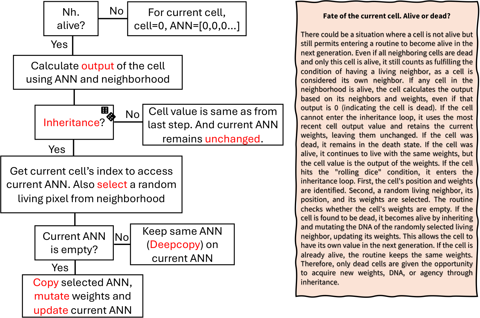 Flowchart of the fate of a cell, from the liveness check through the inheritance and mutation branches, with an explanatory note